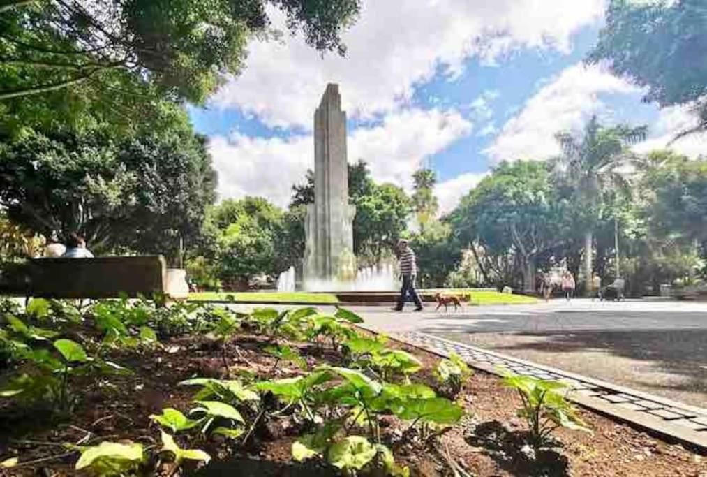 Апартаменти Atico Centro De Sc, Vistas, Aire Acondicionado!!! Санта-Крус-де-Тенеріфе Екстер'єр фото